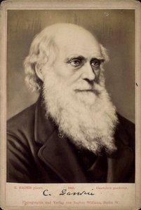 Charles Darwin, British Naturalist, c1860s-c1870s