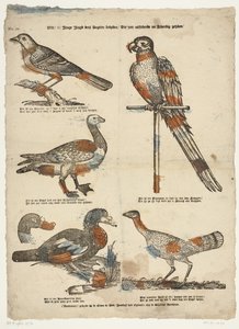 Wilt /ô! Young Youth Look at These Birds / That Very Much Resemble Life by Erven de Weduwe Jacobus van Egmont