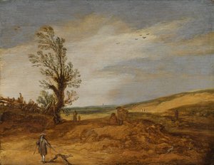 A View in the Dunes