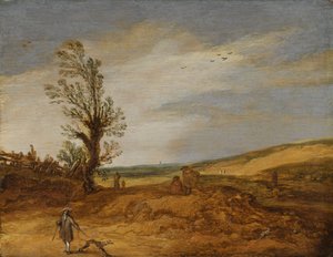 A View in the Dunes