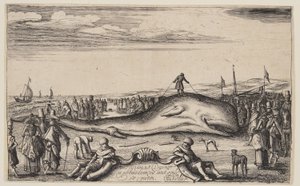Beached Sperm Whale at Noordwijk by Esaias van den Velde I