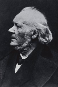 The illustrator Honore Daumier by Etienne Carjat