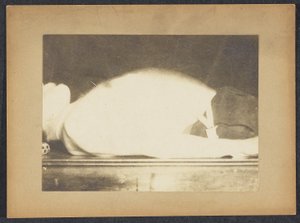 Marey in a Study of Respiration