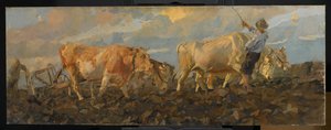 Oxen Ploughing, 1911