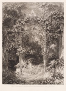 The Lady of the Forest