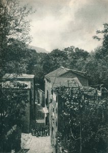 Narrow street, Capri, Italy, 1927