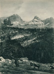 View of the Brenta Group with Alpine Pasture, Madonna di Campiglio, Dolomites, Italy by Eugen Poppel
