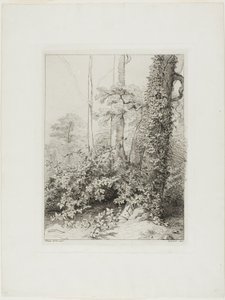 Bramble and Ivy by Eugene Bléry