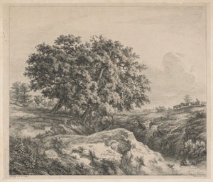 The Oak Tree by a Ravine