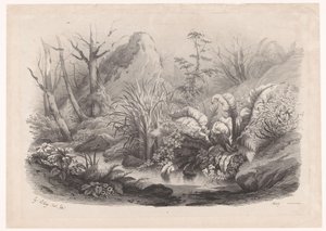 Riverside Plants by a Stream (series title: Various Plants) by Eugene Bléry
