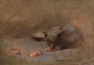Cat Eating