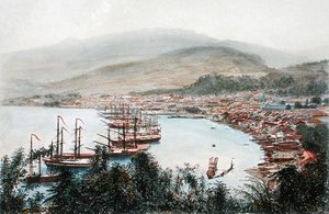 View of Saint-Pierre seen from the gun battery at Sainte-Marthe, Martinique by Eugene Ciceri