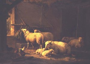 Sheep and Poultry in a Barn