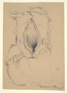 Study of a Horse