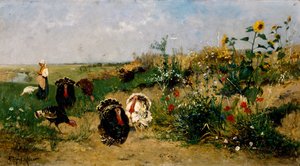 Turkeys