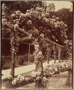 Garden of Bagatelle