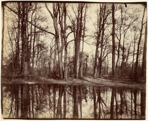 Saint-Cloud by Eugène Atget