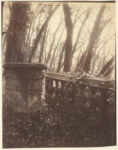 Saint-Cloud Park, Paris
