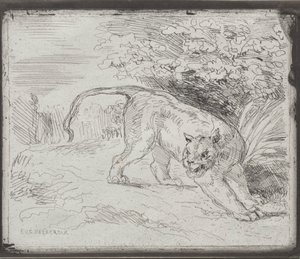 A Trapped Tiger by Eugène Delacroix