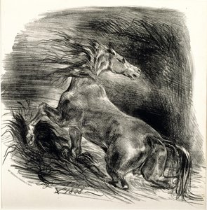 Wild Horse