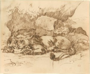 Lion Devouring a Rabbit