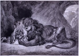 Lion of Atlas