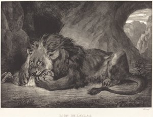 Lion of the Atlas Mountains