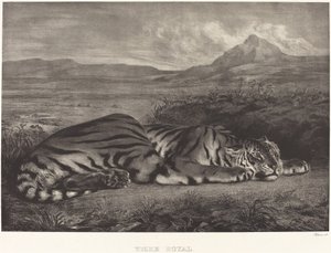 Royal Tiger by Eugène Delacroix
