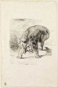 Standing Lion
