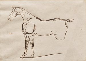 Study of a Horse