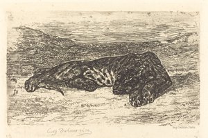 Tiger Sleeping in the Desert by Eugène Delacroix