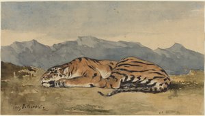 Tiger, c. 1830