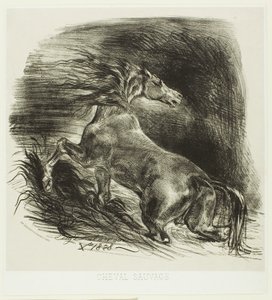 Wild Horse or Frightened Horse Leaving the Water