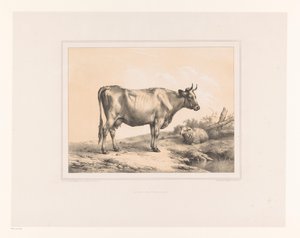 Cow and Sheep in a Landscape (Diverse Animals, Études d