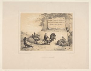 Title Page with Chickens, Rabbits, and a Dove by Eugène Verboeckhoven