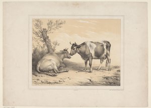 Two Cows (Various Domestic Animals / Thirteen Subjects of Domestic and Indigenous Animals series) by Eugène Verboeckhoven