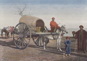 Bukharan Cart on the Move by European Photographer