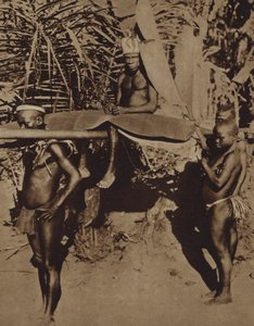 Chief of an African Pygmy Tribe Being Carried on a Litter (b/w photo) by European Photographer