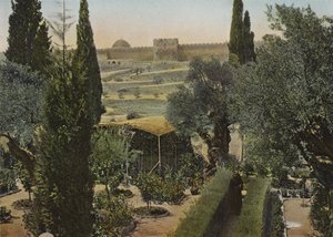 Garden of Gethsemane