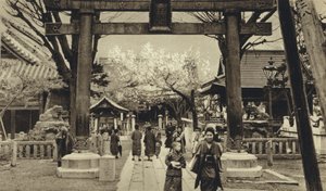 Japan, Street in Tokyo, time of cherry blossom