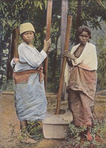 Rice Pounders
