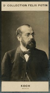 Robert Koch, Physician