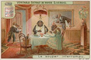 A monkey dinner party by European School