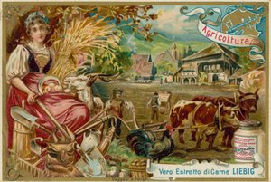 Agriculture by European School