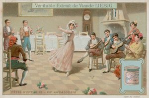 Andalusian Wedding Celebrations