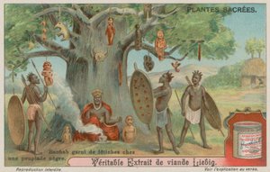 Baobab Tree Hung with Fetishes by an African Tribe