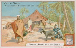 Bedouin Camp at an Oasis