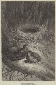 Bent upon Adventurous Quest, these Bold Birdies leave their Nest (engraving) by European School