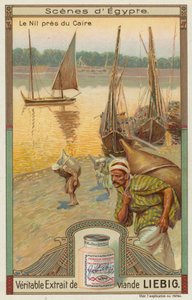 Boats on the Nile near Cairo