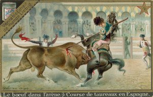 Bullfighting by European School